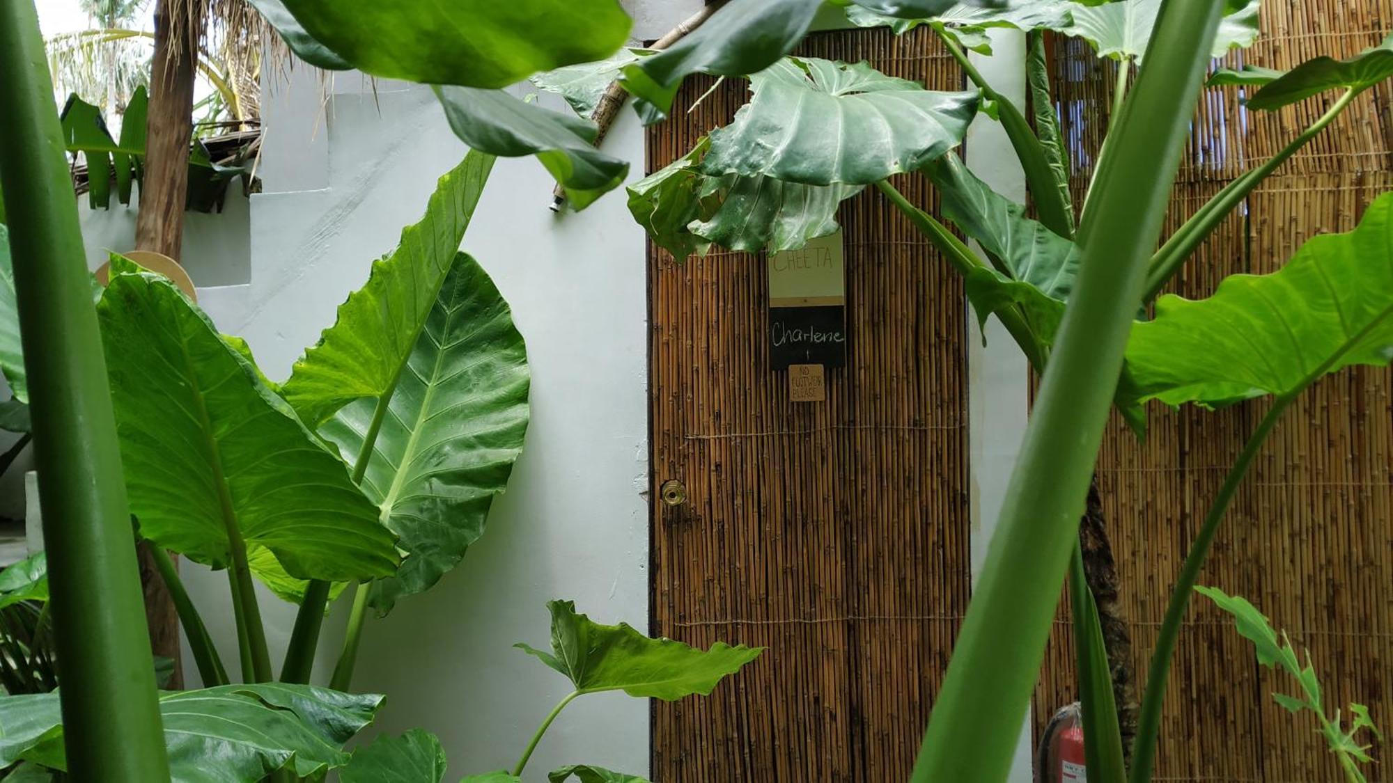 Hotel Tarzan'S House General Luna  Zewnętrze zdjęcie